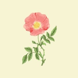 Meet your Posher, Gianna